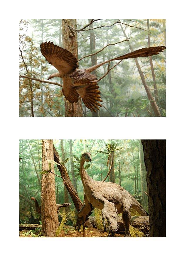 Image dinosaures A  plumes